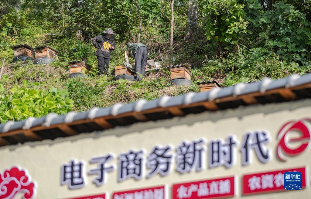 如何抓长龙